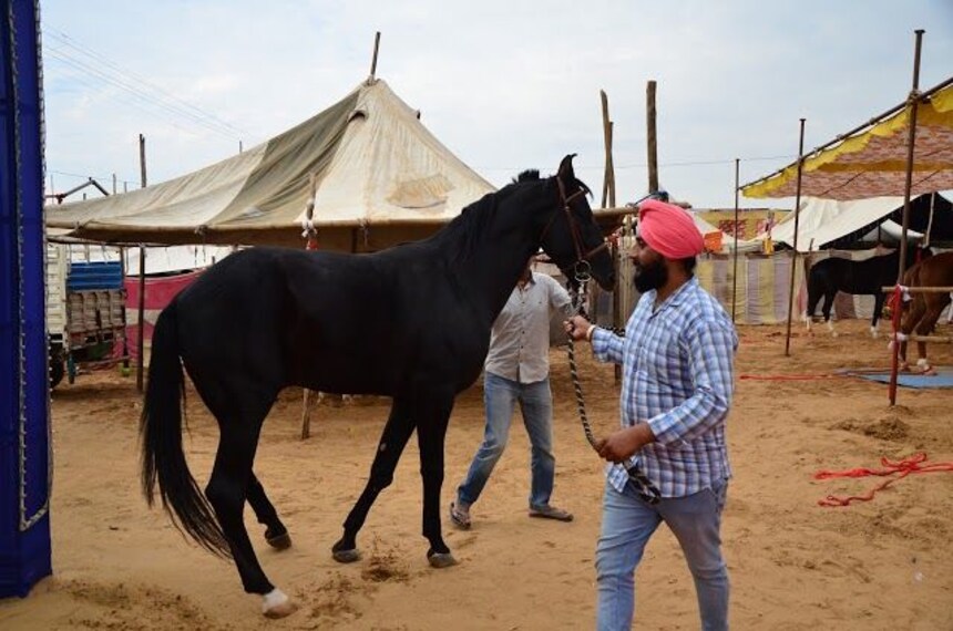 Horse Riding at pushkar fair-4